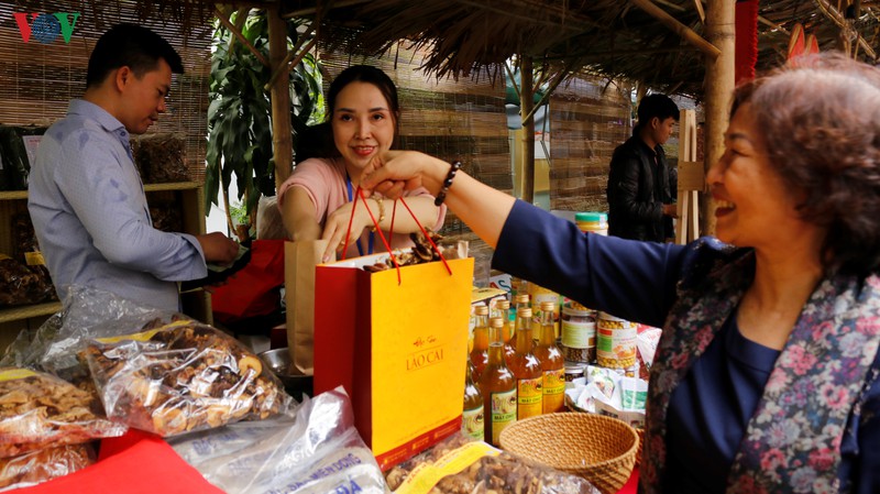 hoi cho nong nghiep sach tet canh ty 2020 hut khach tai ha noi hinh 5