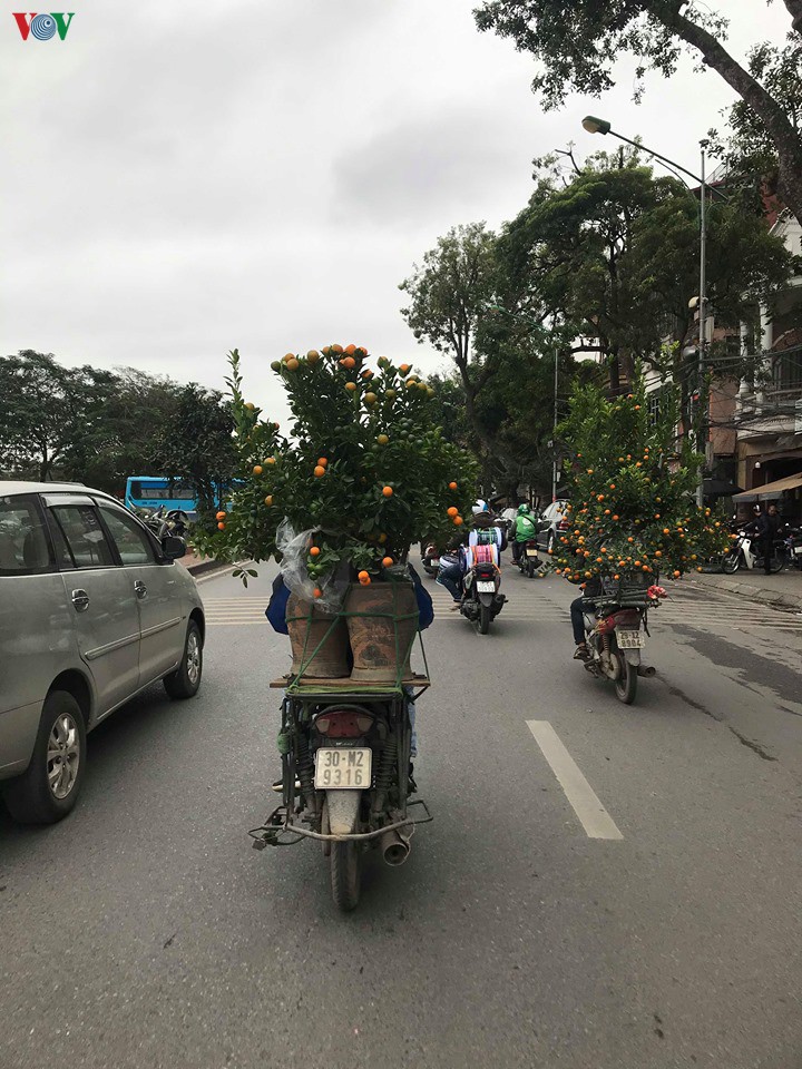 dao, mai xuong pho trong ret dam, cho hoa tet bat dau nhon nhip hinh 10