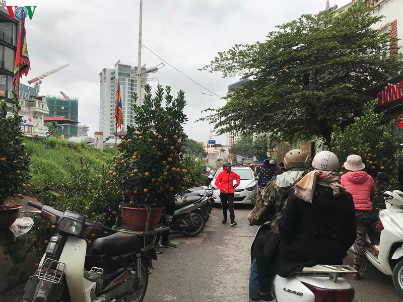 dao, mai xuong pho trong ret dam, cho hoa tet bat dau nhon nhip hinh 11