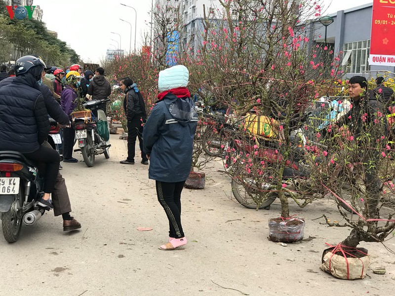 dao, mai xuong pho trong ret dam, cho hoa tet bat dau nhon nhip hinh 15