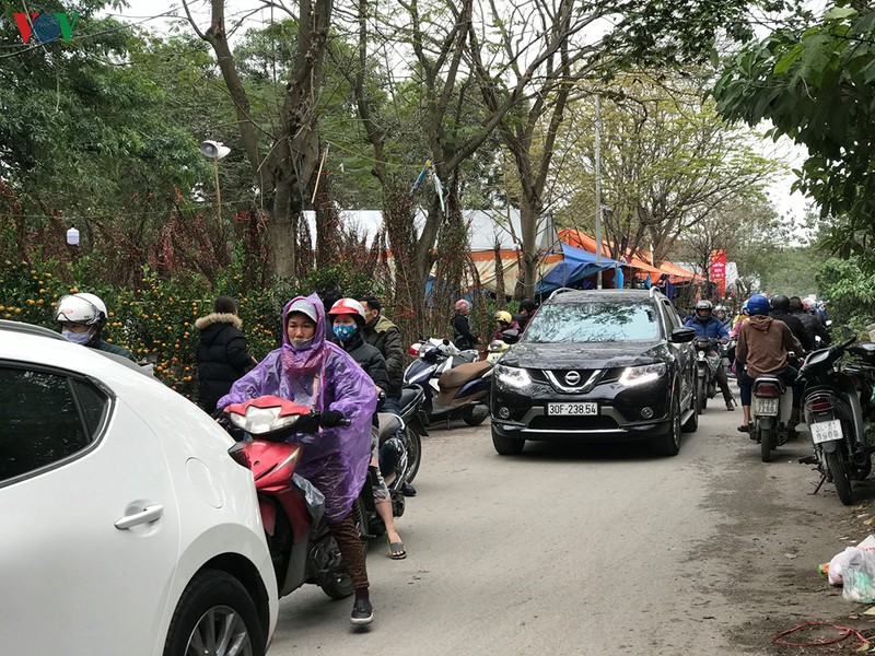 dao, mai xuong pho trong ret dam, cho hoa tet bat dau nhon nhip hinh 17