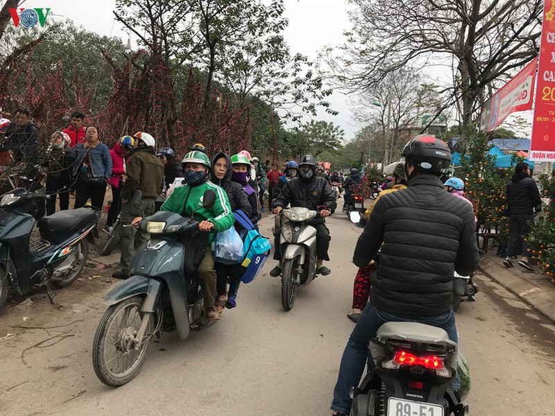 dao, mai xuong pho trong ret dam, cho hoa tet bat dau nhon nhip hinh 20