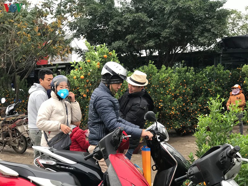 dao, mai xuong pho trong ret dam, cho hoa tet bat dau nhon nhip hinh 3