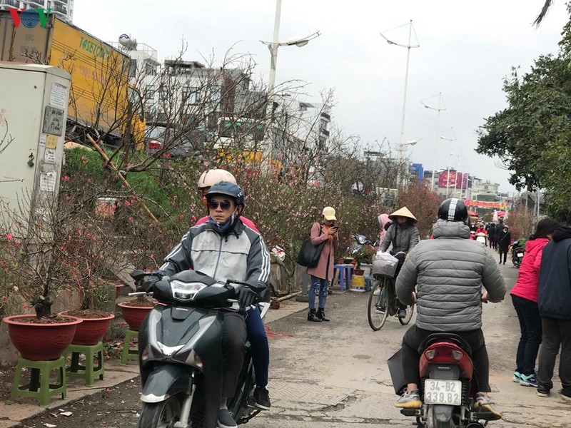 dao, mai xuong pho trong ret dam, cho hoa tet bat dau nhon nhip hinh 4