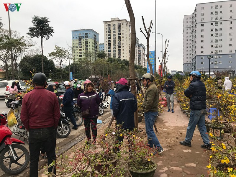 dao, mai xuong pho trong ret dam, cho hoa tet bat dau nhon nhip hinh 6