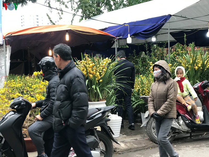dao, mai xuong pho trong ret dam, cho hoa tet bat dau nhon nhip hinh 8