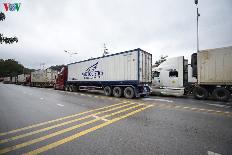 khong cach ly tai xe giao hang o cua khau voi trung quoc neu co bao ho hinh 1