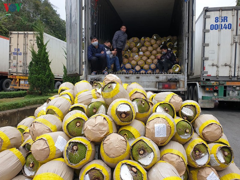 khong cach ly tai xe giao hang o cua khau voi trung quoc neu co bao ho hinh 2