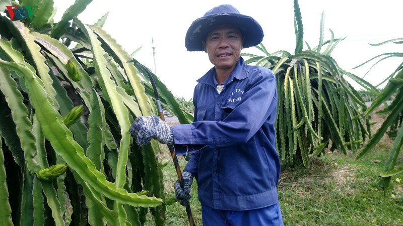 thi truong am dam, nha vuon dung chong den thanh long trai vu hinh 1