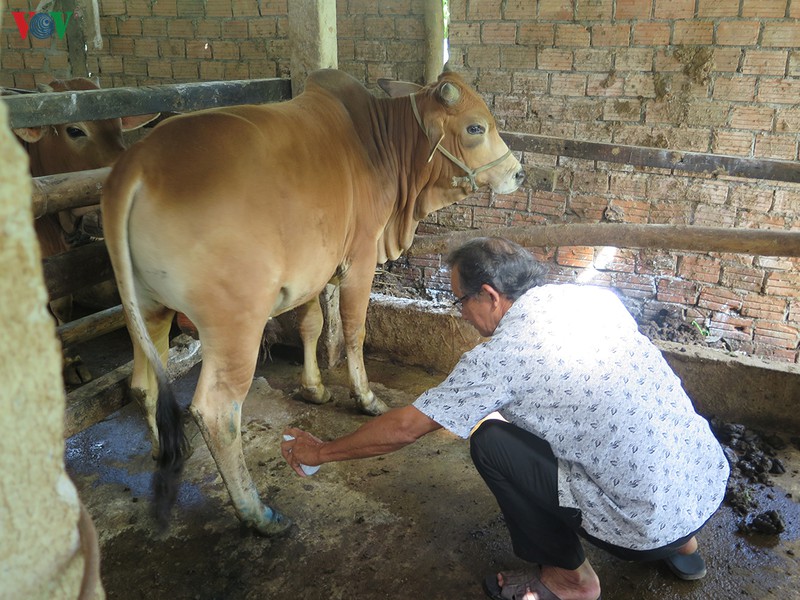 quang ngai de nghi bo ho tro hon 20.000 lieu vaccine lo mom long mong hinh 1