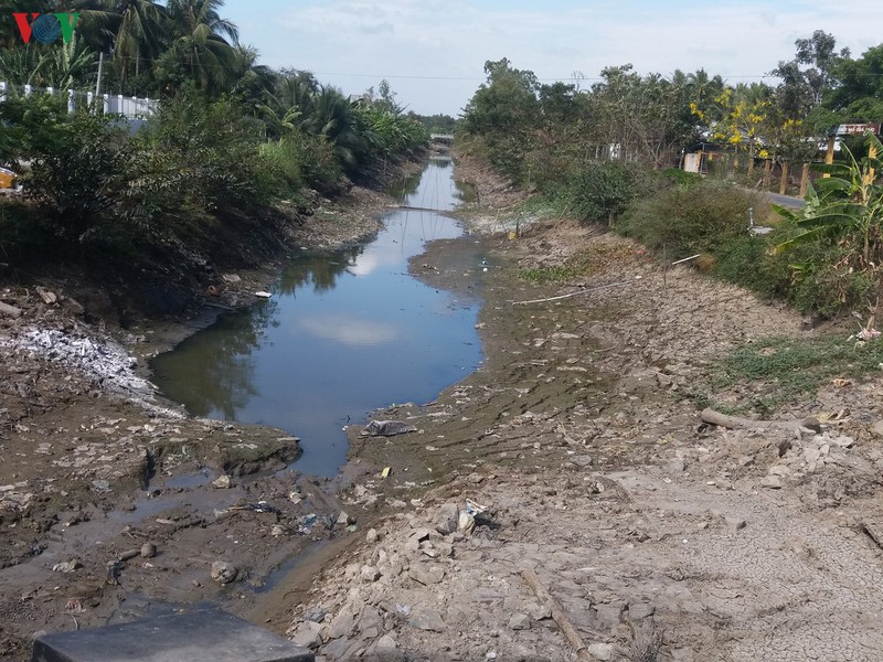 vung dbscl kho khat: vua ngan han man vua vet nuoc ngot cuu lua xuan hinh 2