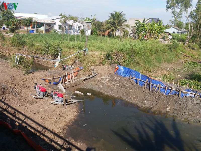 vung dbscl kho khat: vua ngan han man vua vet nuoc ngot cuu lua xuan hinh 4
