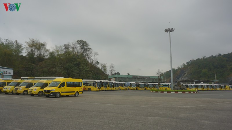 lao cai dung het xe buyt, cong chuc, vien chuc lam viec tai nha hinh 1