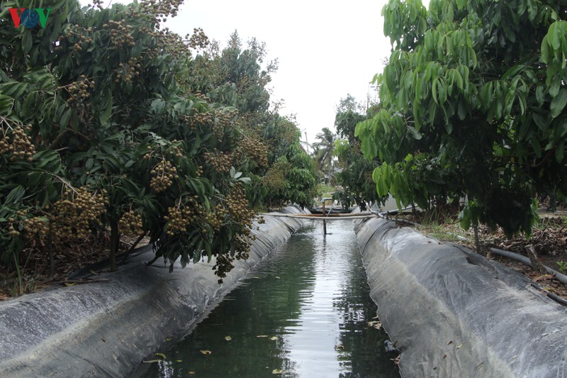 soc trang ung dung tot ky thuat, cong nghe de ung pho voi han man hinh 1