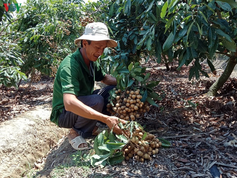 soc trang ung dung tot ky thuat, cong nghe de ung pho voi han man hinh 2
