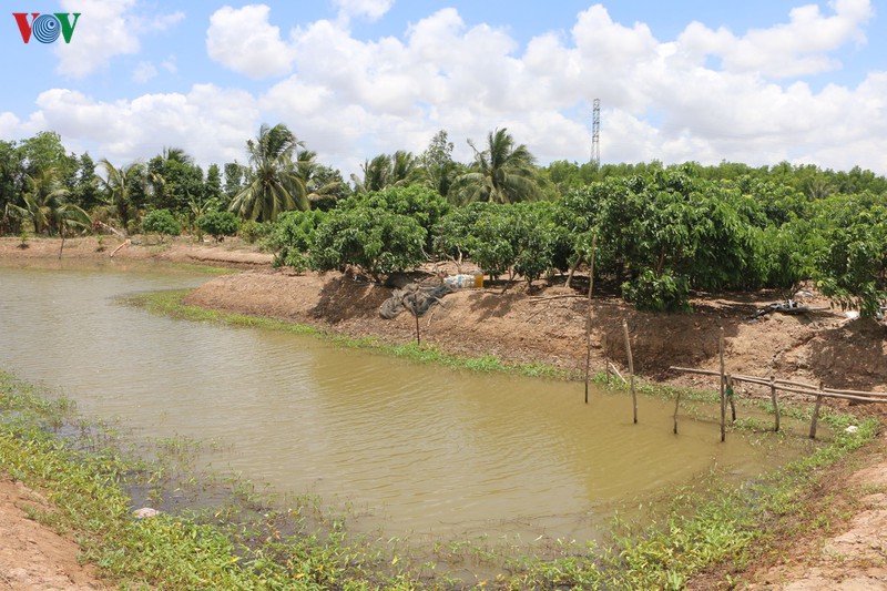 soc trang ung dung tot ky thuat, cong nghe de ung pho voi han man hinh 4