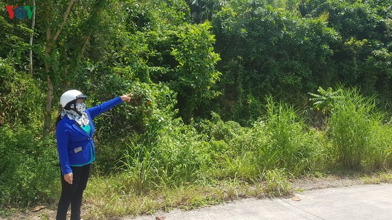 huyen dao kien hai (kien giang) cap so do tren dat rung hinh 2