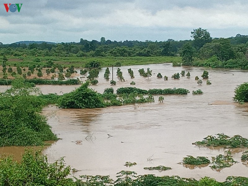 mua lon gay ngap lut, thiet hai nang ne tai dak lak hinh 4