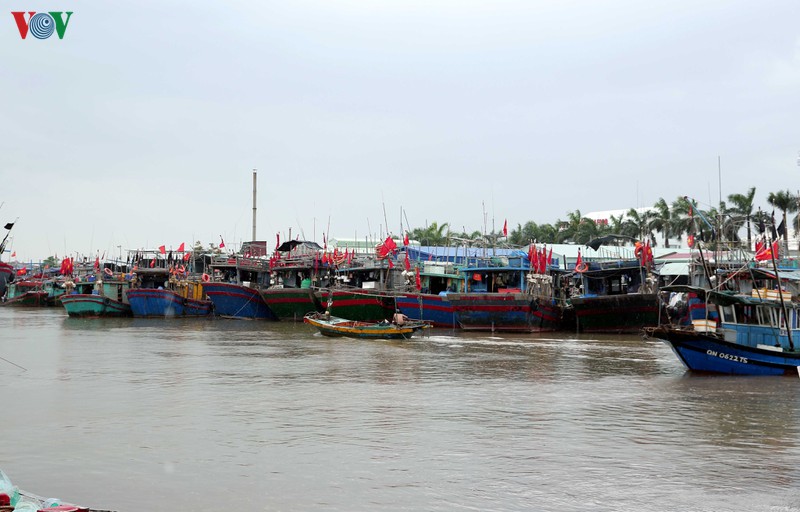 cac dia phuong khan truong cac bien phap ung pho voi bao so 2 hinh 3
