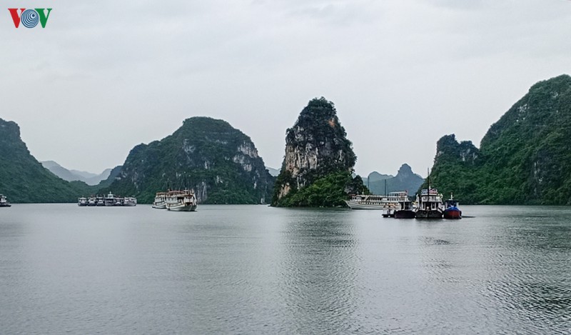 cac dia phuong khan truong cac bien phap ung pho voi bao so 2 hinh 5