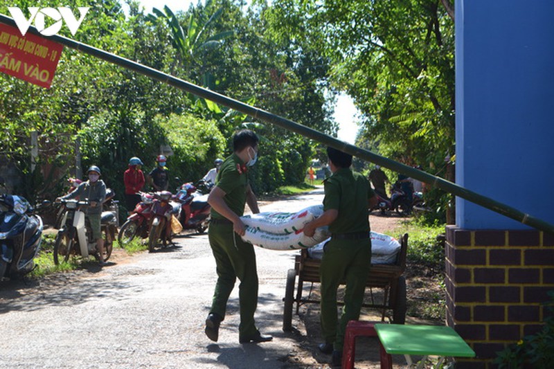 quang tri vua chong dich covid-19, vua ung pho voi dich bach hau hinh 2