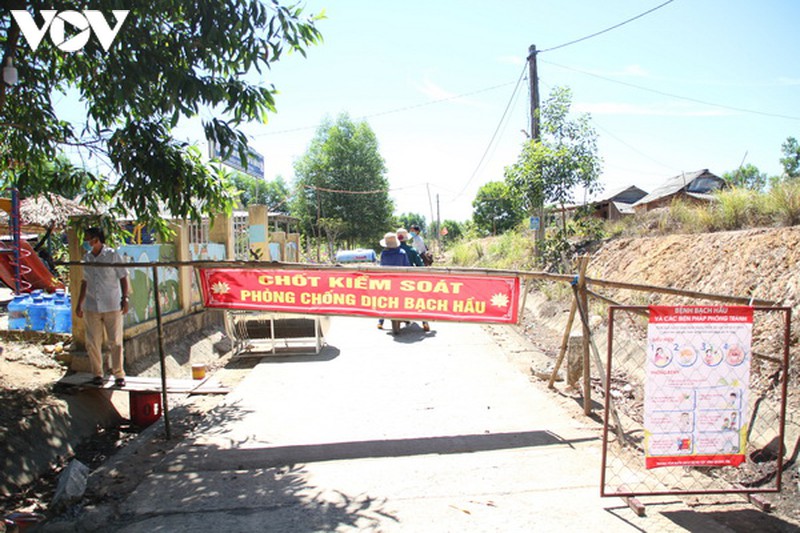 quang tri vua chong dich covid-19, vua ung pho voi dich bach hau hinh 5