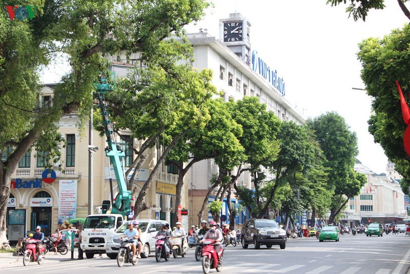 ha noi nghien cuu thi diem khong cho xe vao khong gian di bo ho guom hinh 1