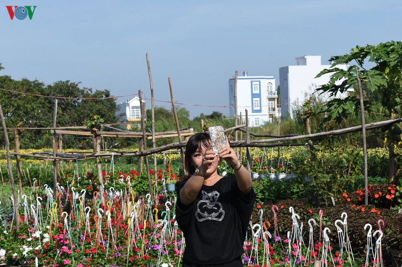 lang hoa pho tho - ba bo (can tho) tat bat lam hoa tet hinh 9