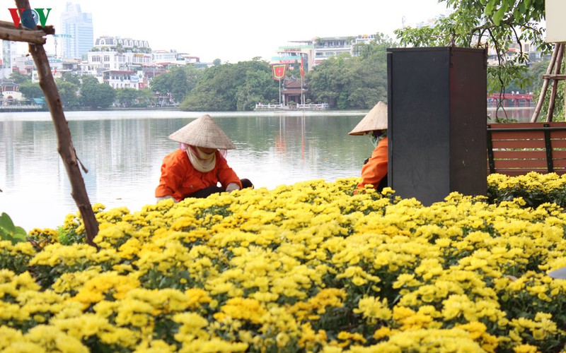 ha noi chi 19 ty dong trang tri hoa cay canh tet hinh 1