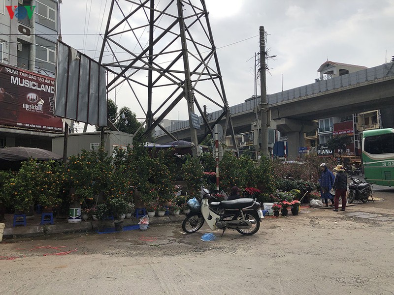 can tet, cho hoa "moc" bua bai truoc ga duong sat cat linh-ha dong hinh 8