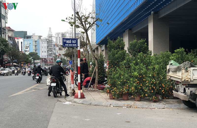 can tet, cho hoa "moc" bua bai truoc ga duong sat cat linh-ha dong hinh 2