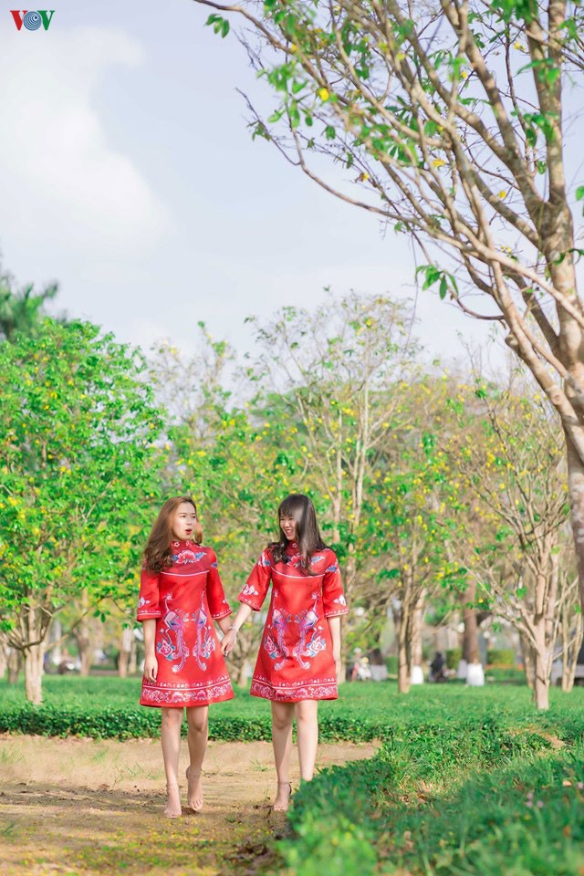 teen hue thich thu chup anh vuon mai vang don tet hinh 4