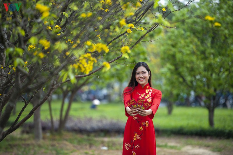 teen hue thich thu chup anh vuon mai vang don tet hinh 6