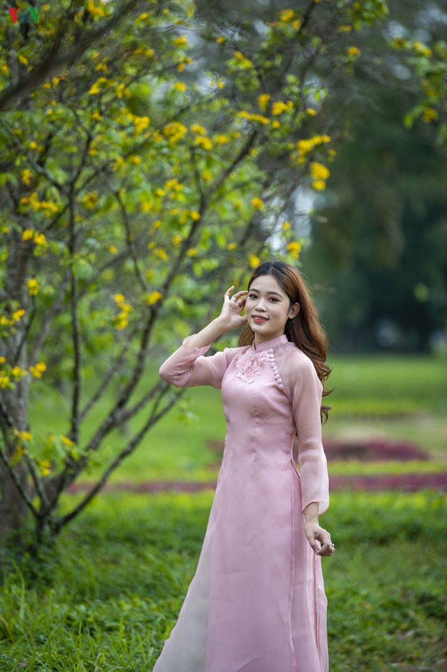 teen hue thich thu chup anh vuon mai vang don tet hinh 7