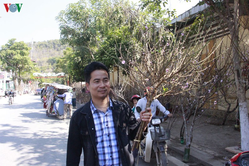 nhon nhip dao rung son la xuong pho hinh 16