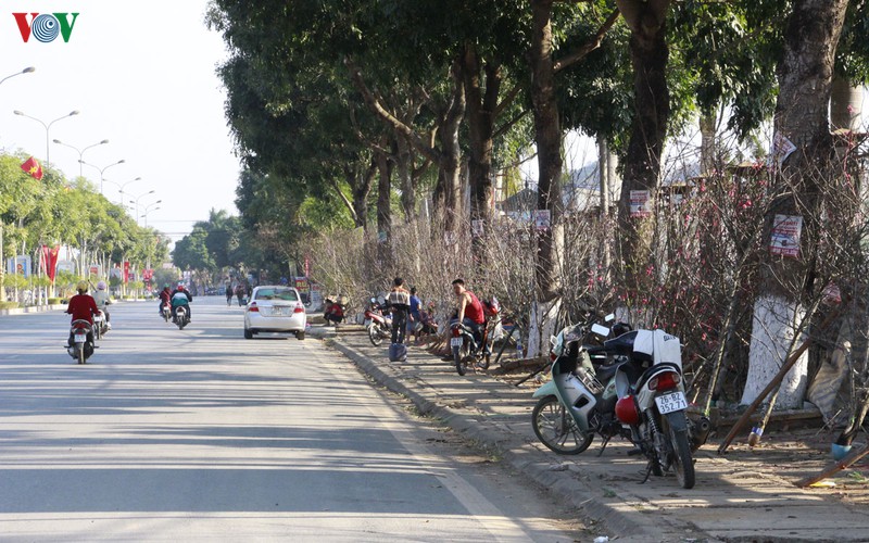 nhon nhip dao rung son la xuong pho hinh 2