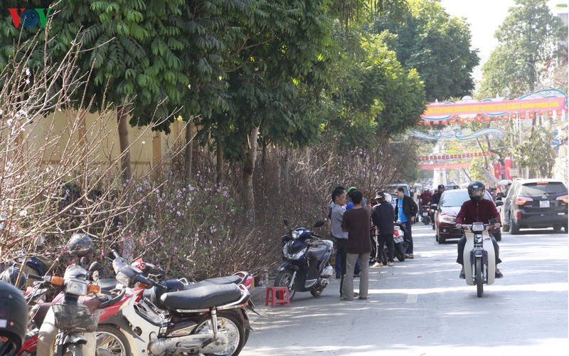 nhon nhip dao rung son la xuong pho hinh 4