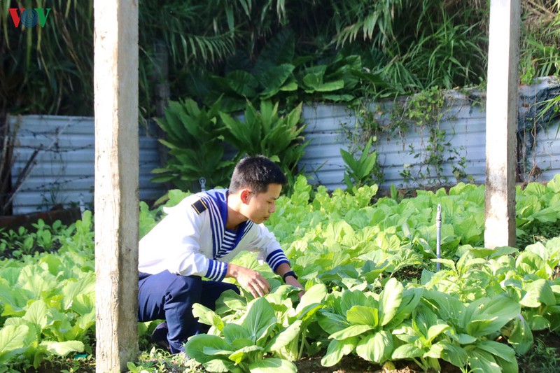 nguoi linh don xuan tren bien hinh 3