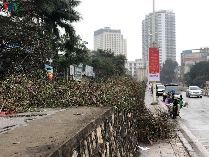 anh: rac ngap he pho ha noi sang 30 tet hinh 10