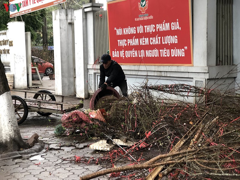 anh: rac ngap he pho ha noi sang 30 tet hinh 13