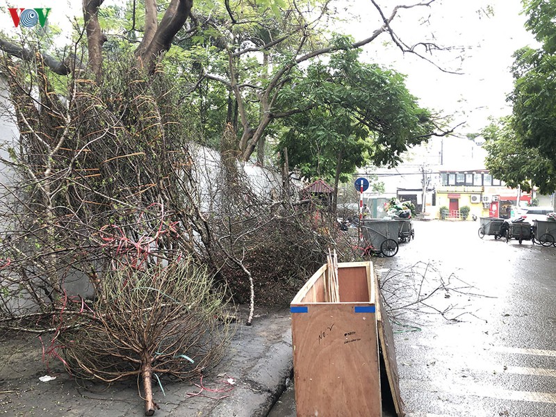 anh: rac ngap he pho ha noi sang 30 tet hinh 14