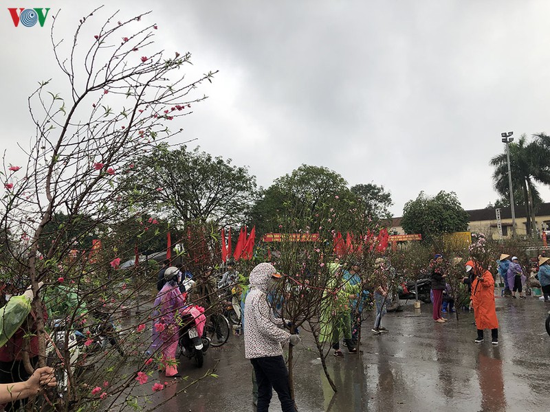 anh: rac ngap he pho ha noi sang 30 tet hinh 11