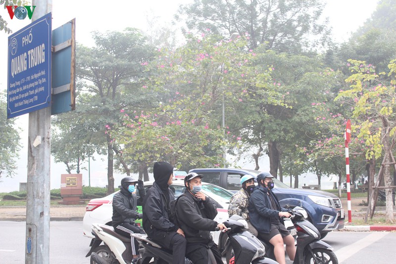 ha noi: nguoi dan ngai virus corona, duong pho vang nhu ngay tet hinh 3