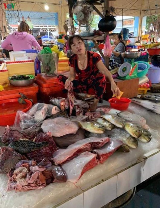 rua bien xanh quy hiem bi xe thit ban tai cho ha tien hinh 1