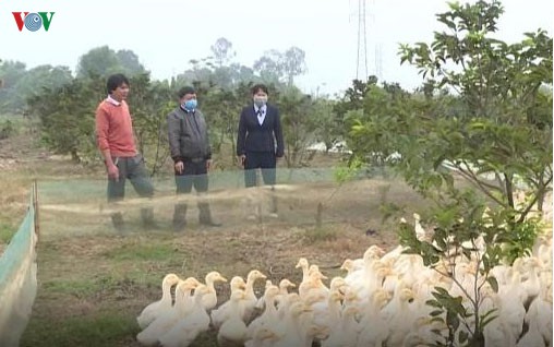 xuat hien cum gia cam a/h5n6 o thanh hoa hinh 1