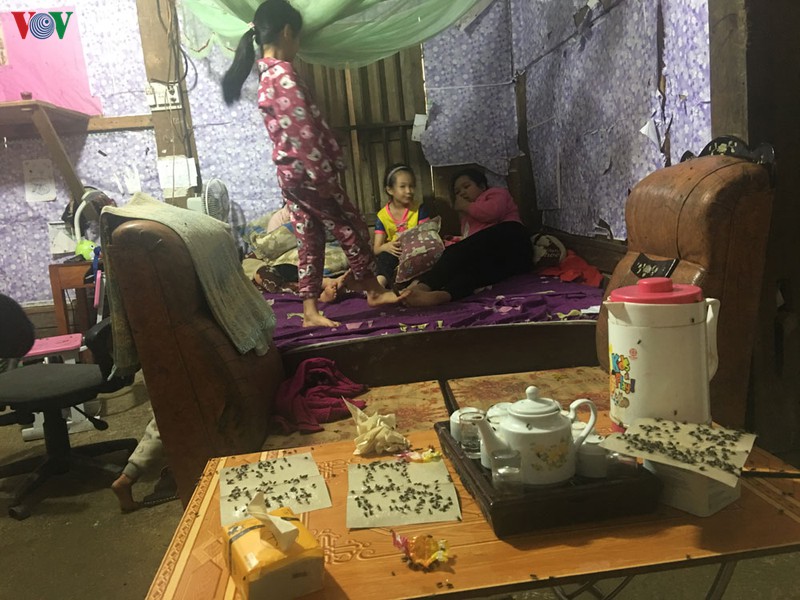 cuoc song hang tram nguoi dan bac kan dao lon vi ruoi hinh 1