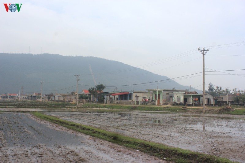 nhieu ho dan lan chiem dat du an nhiet dien quang trach i hinh 1