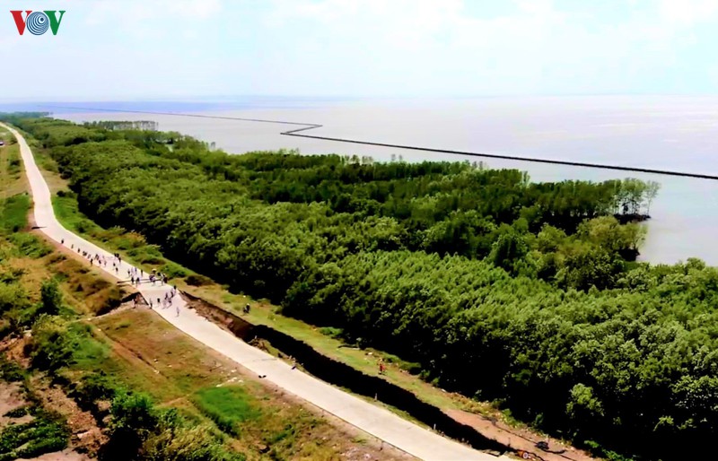 anh: mua sut lun noi dat mui - ca mau hinh 2