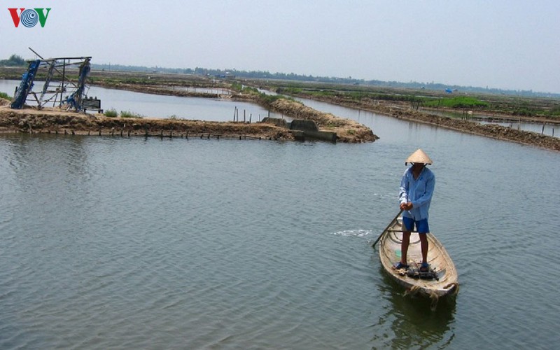 thanh lap khu bao ton thien nhien dat ngap nuoc tam giang - cau hai hinh 1