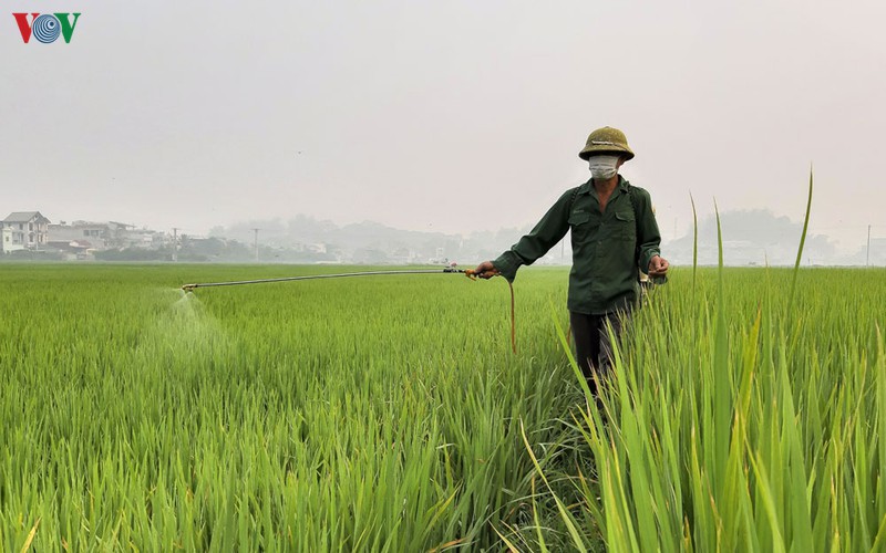 kho han, nong dan long chao dien bien lao dao vi thieu nuoc san xuat hinh 5